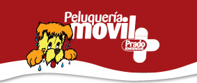 Logo movil